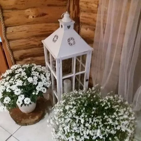 Relax * Kolnik